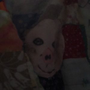 Meet your Posher, Christa